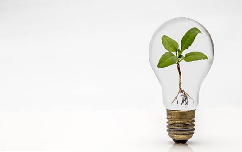 RSE - Responsabilidad Social Empresarial