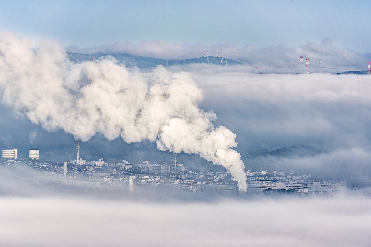 Net Zero